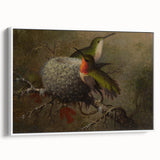 Vintage Grunge Hummingbirds - Urban Distressed Canvas Print Art
