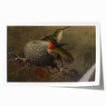 Vintage Grunge Hummingbirds - Urban Distressed Canvas Print Art