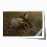Vintage Grunge Hummingbirds - Urban Distressed Canvas Print Art