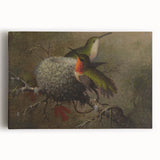 Vintage Grunge Hummingbirds - Urban Distressed Canvas Print Art