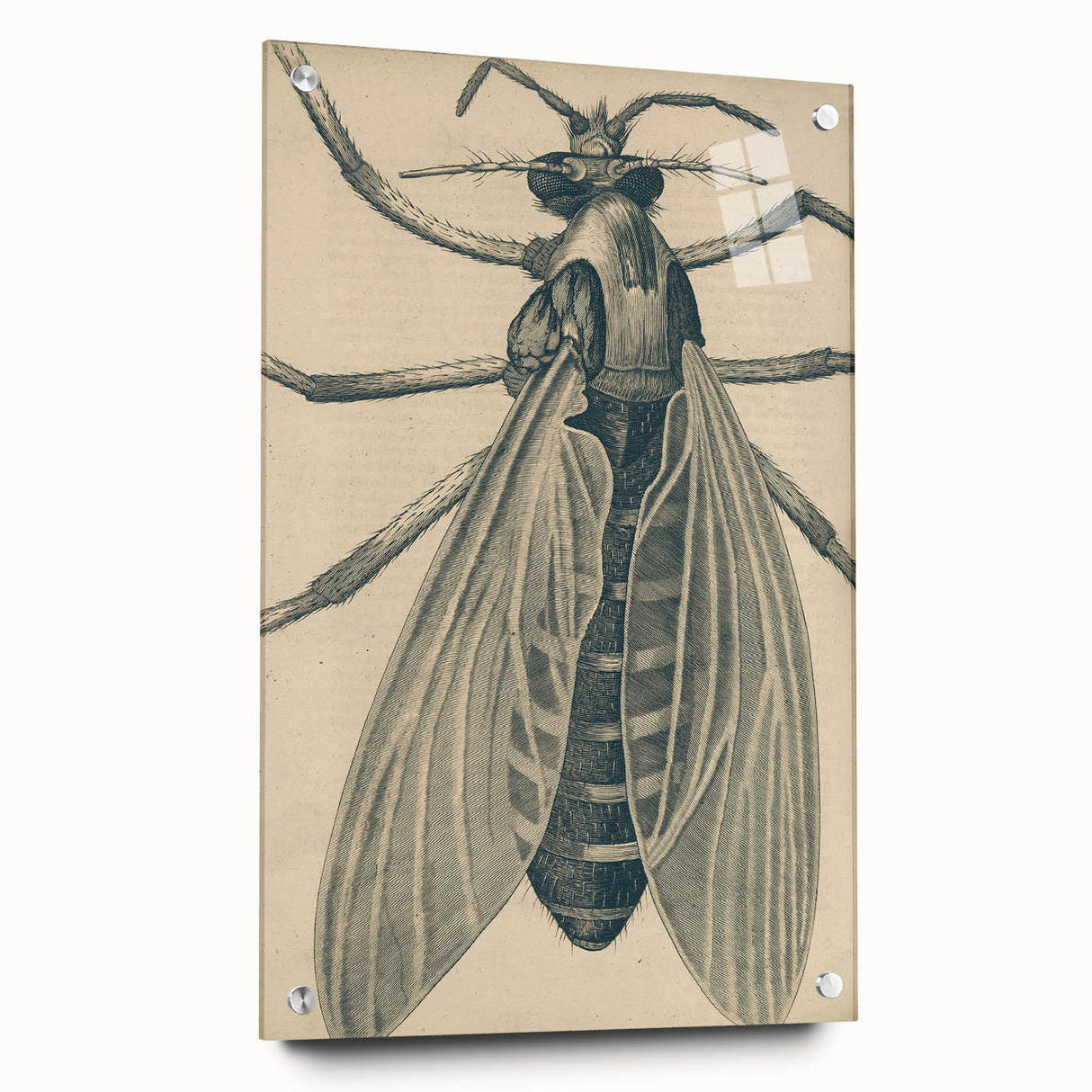 Grunge Wall Art | Vintage Grunge Canvas Print | Abstract Grunge Painting