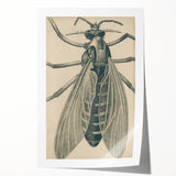 Grunge Wall Art | Vintage Grunge Canvas Print | Abstract Grunge Painting