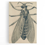 Grunge Wall Art | Vintage Grunge Canvas Print | Abstract Grunge Painting