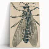 Grunge Wall Art | Vintage Grunge Canvas Print | Abstract Grunge Painting