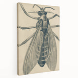 Grunge Wall Art | Vintage Grunge Canvas Print | Abstract Grunge Painting