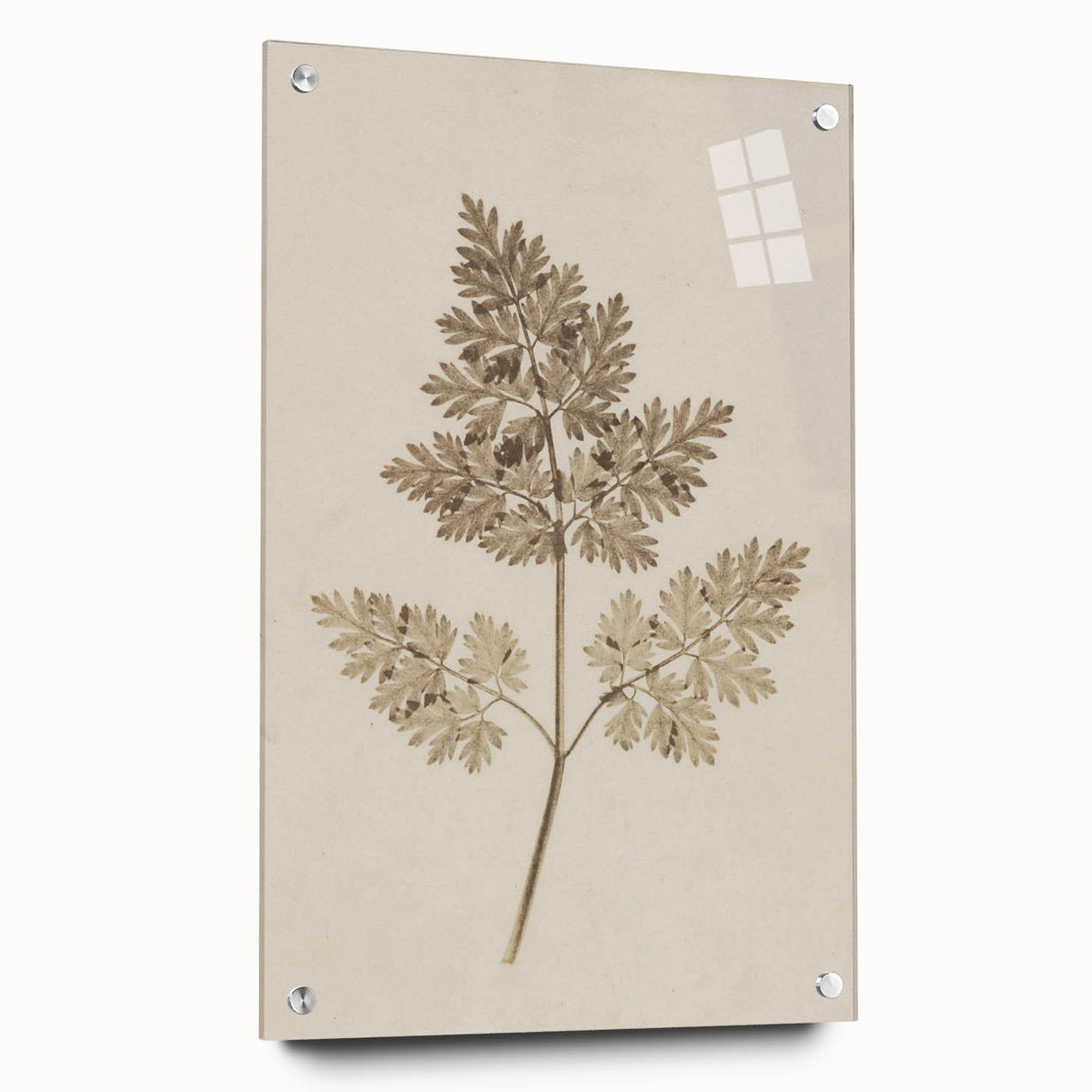 Grunge Wall Art | Vintage Grunge Leaf Canvas Print | Distressed Art