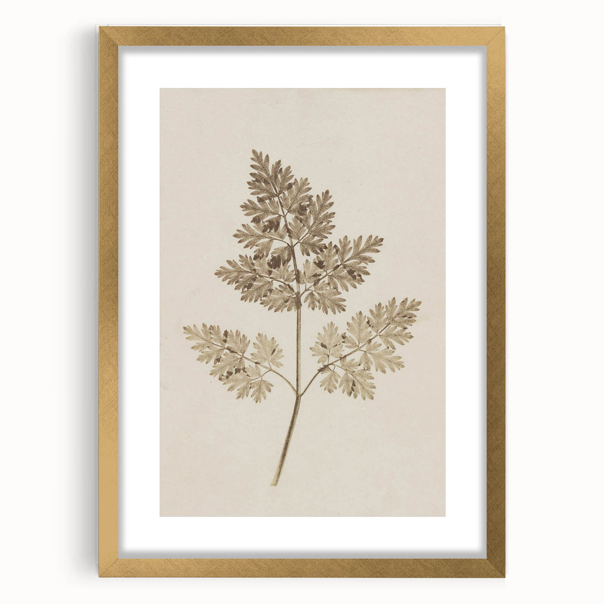 Grunge Wall Art | Vintage Grunge Leaf Canvas Print | Distressed Art