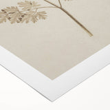 Grunge Wall Art | Vintage Grunge Leaf Canvas Print | Distressed Art