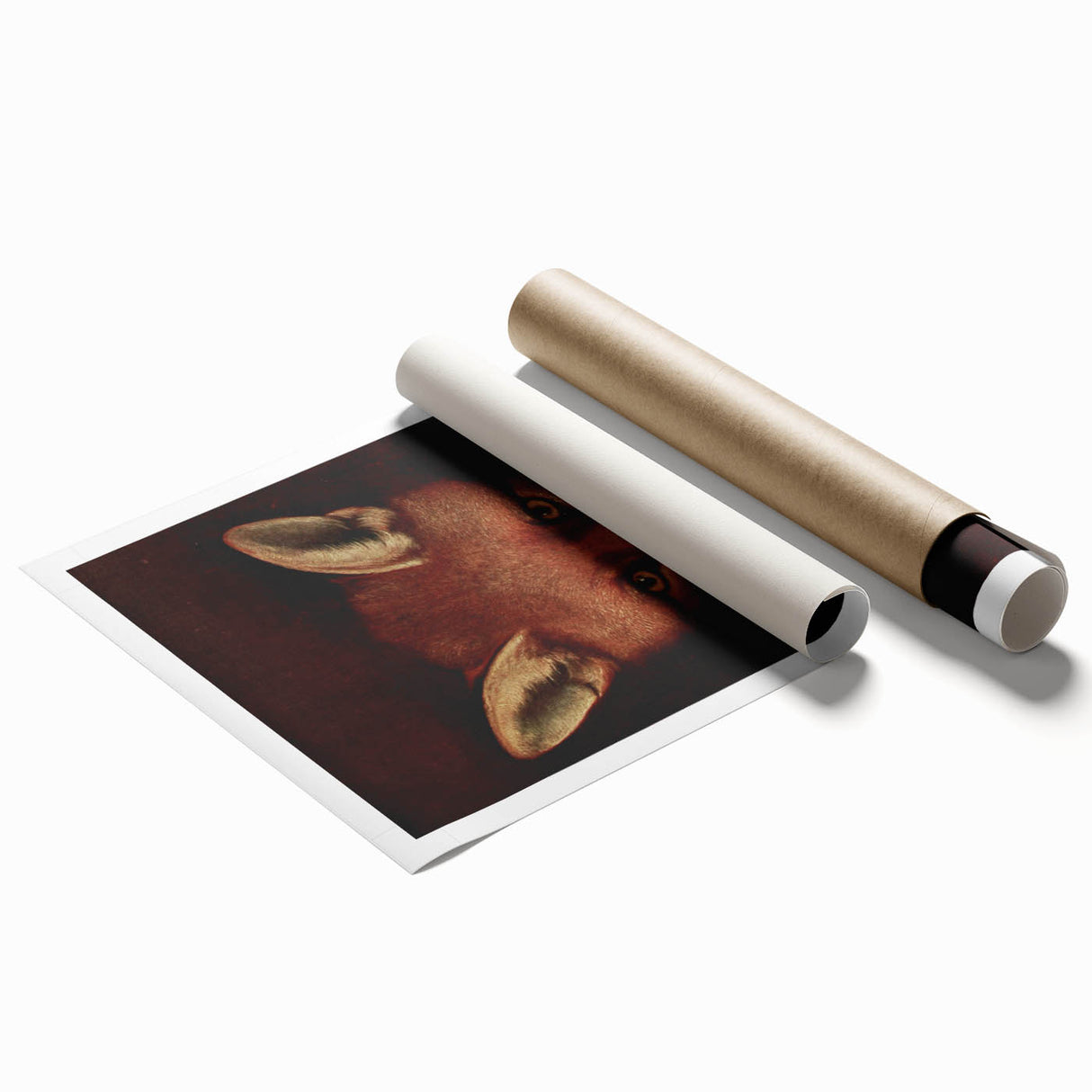 Grunge Aesthetic Fox Wall Art - Abstract Urban Grunge Art on Canvas