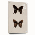 Vintage Grunge Art - Dark Butterfly Grunge Canvas Print - Urban Grunge Art