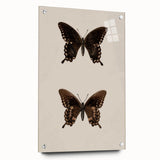 Vintage Grunge Art - Dark Butterfly Grunge Canvas Print - Urban Grunge Art