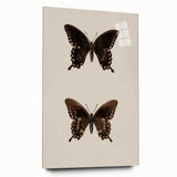 Vintage Grunge Art - Dark Butterfly Grunge Canvas Print - Urban Grunge Art