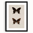Vintage Grunge Art - Dark Butterfly Grunge Canvas Print - Urban Grunge Art