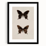Vintage Grunge Art - Dark Butterfly Grunge Canvas Print - Urban Grunge Art