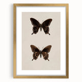 Vintage Grunge Art - Dark Butterfly Grunge Canvas Print - Urban Grunge Art