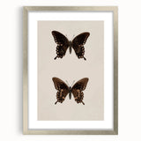 Vintage Grunge Art - Dark Butterfly Grunge Canvas Print - Urban Grunge Art