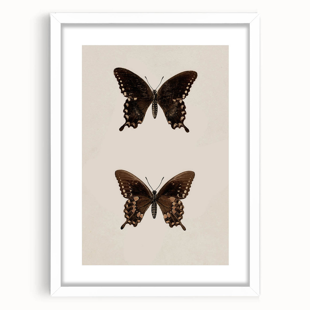 Vintage Grunge Art - Dark Butterfly Grunge Canvas Print - Urban Grunge Art