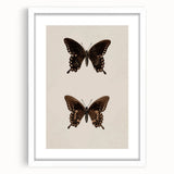Vintage Grunge Art - Dark Butterfly Grunge Canvas Print - Urban Grunge Art
