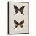 Vintage Grunge Art - Dark Butterfly Grunge Canvas Print - Urban Grunge Art