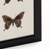 Vintage Grunge Art - Dark Butterfly Grunge Canvas Print - Urban Grunge Art