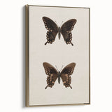 Vintage Grunge Art - Dark Butterfly Grunge Canvas Print - Urban Grunge Art
