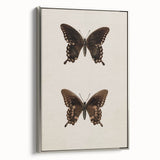 Vintage Grunge Art - Dark Butterfly Grunge Canvas Print - Urban Grunge Art
