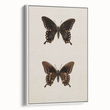 Vintage Grunge Art - Dark Butterfly Grunge Canvas Print - Urban Grunge Art