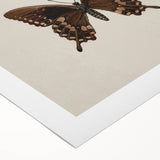 Vintage Grunge Art - Dark Butterfly Grunge Canvas Print - Urban Grunge Art