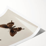 Vintage Grunge Art - Dark Butterfly Grunge Canvas Print - Urban Grunge Art