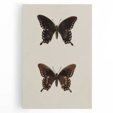 Vintage Grunge Art - Dark Butterfly Grunge Canvas Print - Urban Grunge Art
