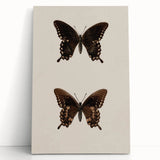 Vintage Grunge Art - Dark Butterfly Grunge Canvas Print - Urban Grunge Art