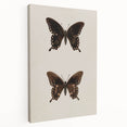 Vintage Grunge Art - Dark Butterfly Grunge Canvas Print - Urban Grunge Art
