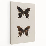 Vintage Grunge Art - Dark Butterfly Grunge Canvas Print - Urban Grunge Art