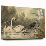 Grunge Wall Art - Unique Swan and Crow Scene for Edgy Home Decor