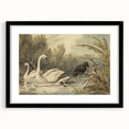 Grunge Wall Art - Unique Swan and Crow Scene for Edgy Home Decor