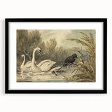 Grunge Wall Art - Unique Swan and Crow Scene for Edgy Home Decor