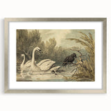 Grunge Wall Art - Unique Swan and Crow Scene for Edgy Home Decor