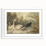 Grunge Wall Art - Unique Swan and Crow Scene for Edgy Home Decor