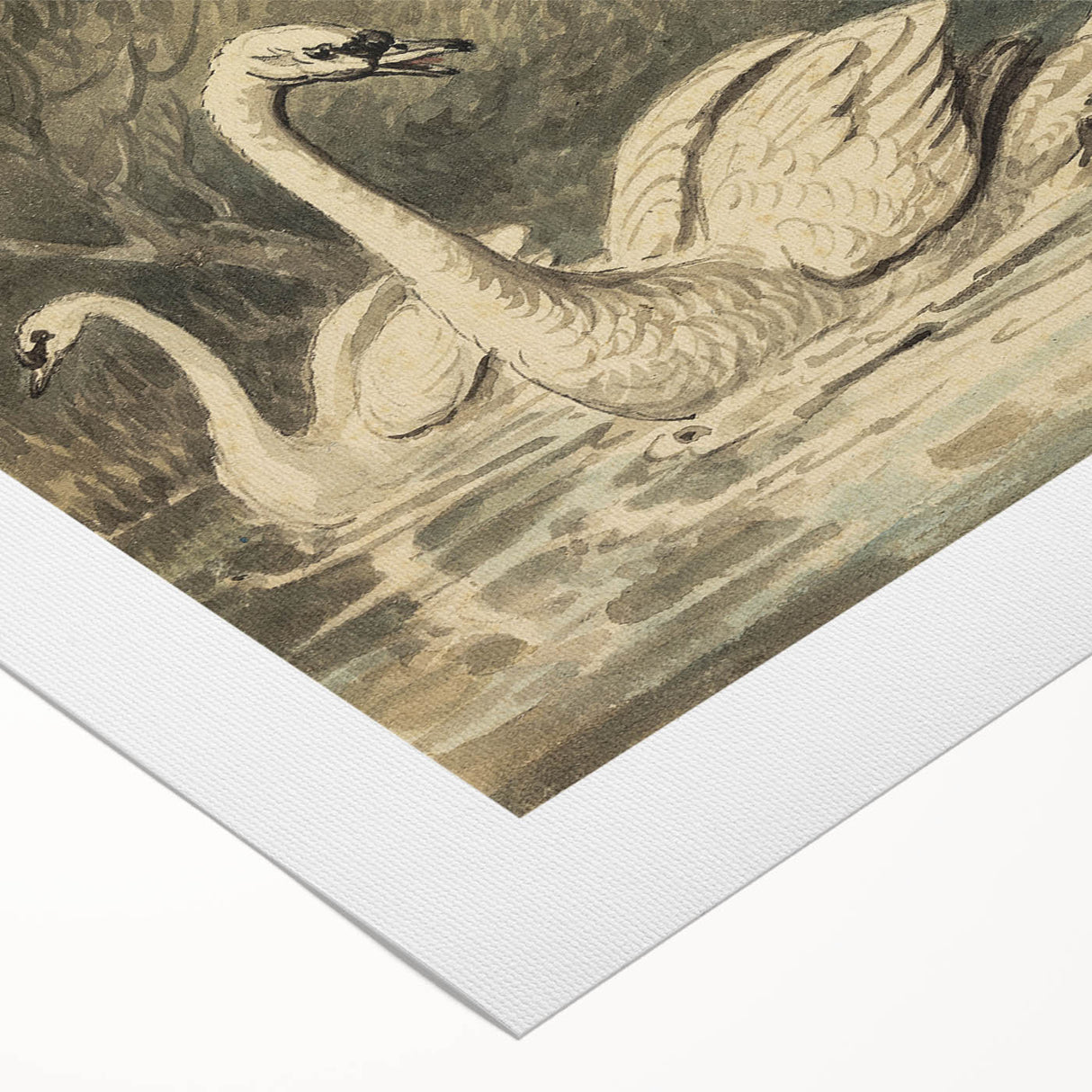 Grunge Wall Art - Unique Swan and Crow Scene for Edgy Home Decor