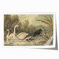 Grunge Wall Art - Unique Swan and Crow Scene for Edgy Home Decor