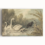 Grunge Wall Art - Unique Swan and Crow Scene for Edgy Home Decor