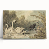 Grunge Wall Art - Unique Swan and Crow Scene for Edgy Home Decor