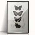 Butterfly Anatomy Grunge Art - Distressed Black and White Canvas Print