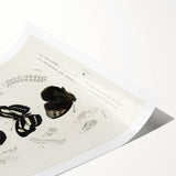 Butterfly Anatomy Grunge Art - Distressed Black and White Canvas Print