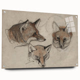 Grunge Fox Sketches - Vintage Grunge Aesthetic Canvas Print Art