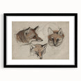 Grunge Fox Sketches - Vintage Grunge Aesthetic Canvas Print Art