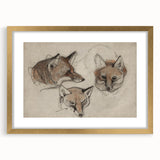 Grunge Fox Sketches - Vintage Grunge Aesthetic Canvas Print Art