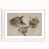 Grunge Fox Sketches - Vintage Grunge Aesthetic Canvas Print Art