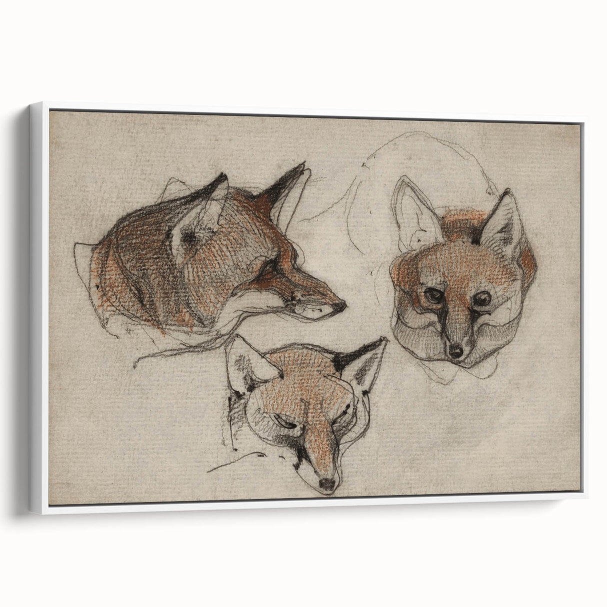 Grunge Fox Sketches - Vintage Grunge Aesthetic Canvas Print Art