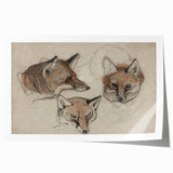 Grunge Fox Sketches - Vintage Grunge Aesthetic Canvas Print Art